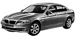 BMW F10 P0CAE Fault Code